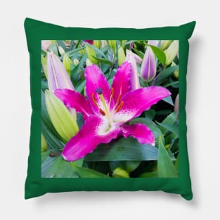 Purple passion Pillow