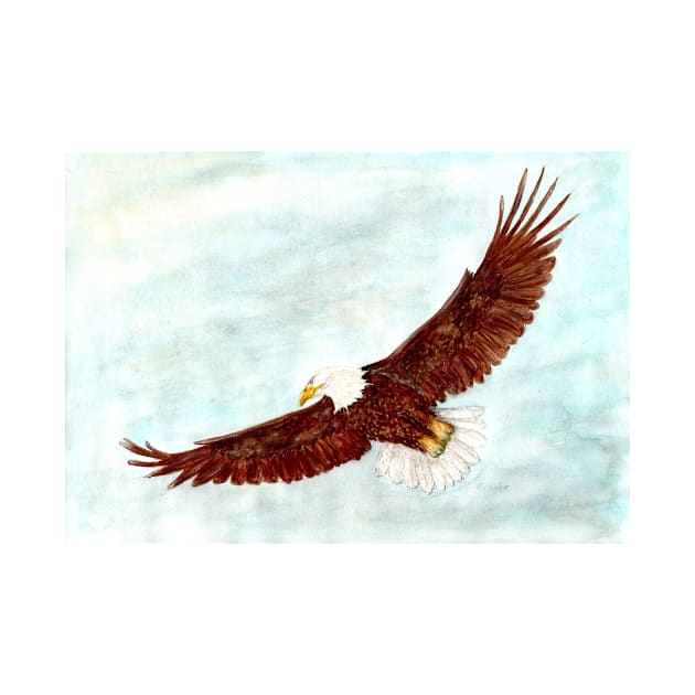 Flying eagle by Kunst und Kreatives