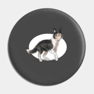 Collie Dog Pin