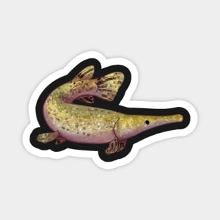 Cozy Alligator Gar Magnet