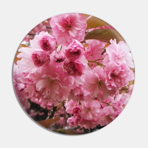 Ethereal Cherry Blooms Pin by TomikoKH19