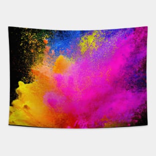 Bright coloured powder explosion on a black background illustration Tapestry