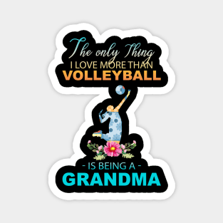 The Ony Thing I Love More Than Volleyball Is Being A Grandma Magnet