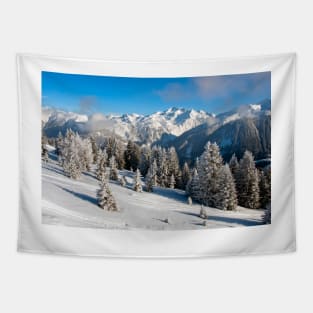 Courchevel 3 Valleys French Alps France Tapestry