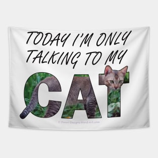 Today I'm only talking to my cat - brown sand cat oil painting word art Tapestry