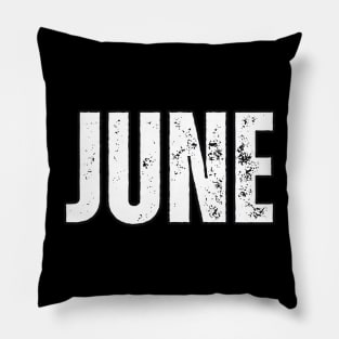 June Name Gift Birthday Holiday Anniversary Pillow