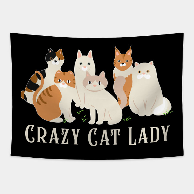 Crazy Cat Lady Shirt Cats Kitty Kitten Meme Gifts The Perfect