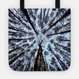 Looking up (Trees) Tote