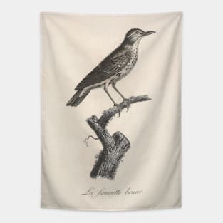 The Brown Warbler Tapestry