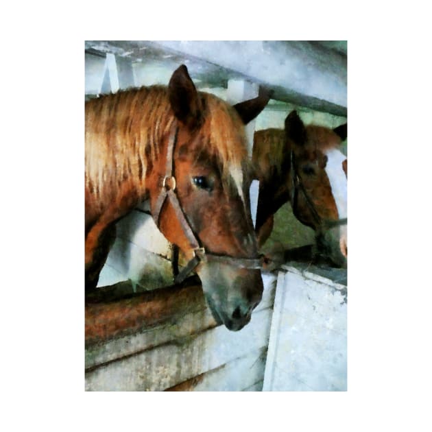 Horses - Brown Horse in Stall by SusanSavad