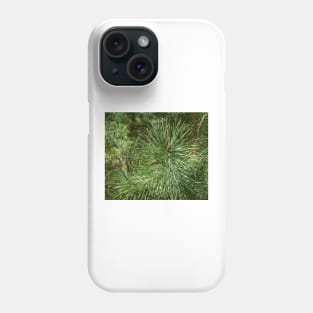 Pine, pine pattern, even as a Christmas motif Phone Case