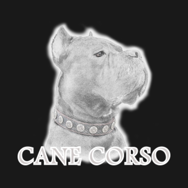 Cane Corso Size Chart