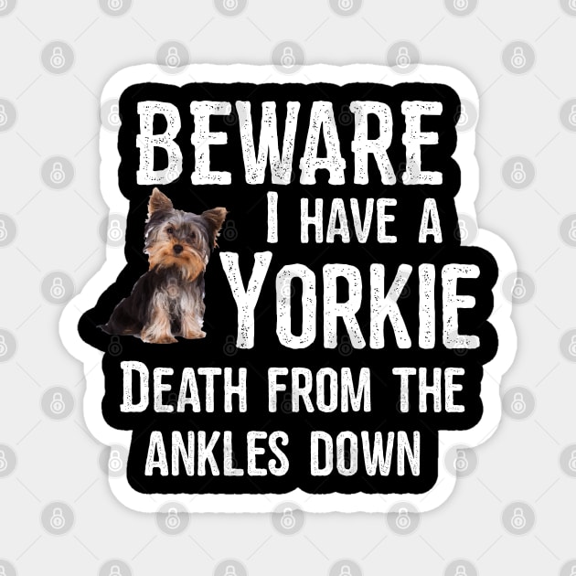 Yorkshire Terrier - Beware I Have A Yorkie Magnet by Kudostees