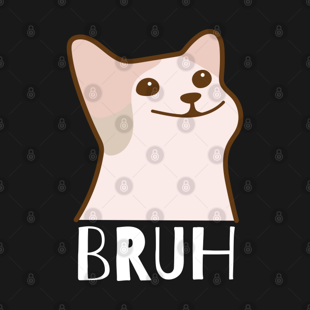 Funny Cat Says Bruh Meme Gamer Slang Bro Humor Bruh T Shirt TeePublic