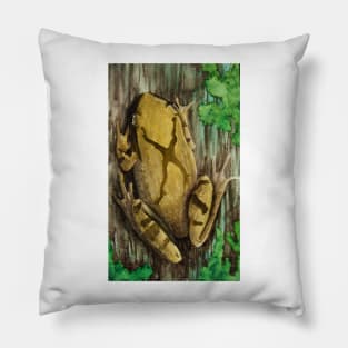 Spring Peeper Pillow