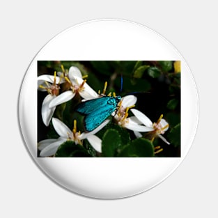 Iridescent Insect Pin