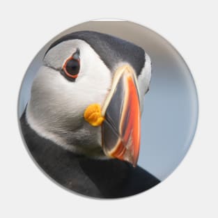 The Puffin Pin