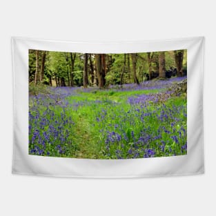 Bluebell Woods Basildon Park Berkshire UK Tapestry