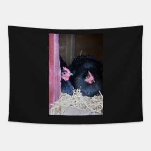 Two Black Chooks Tapestry