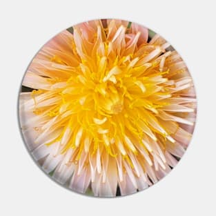 Pink Dandelion Pin