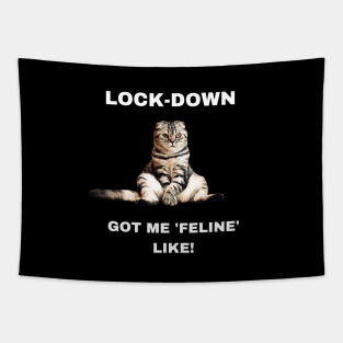 Lock-down got me 'feline' like! Tapestry