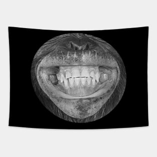 Smiling Face  | Happy Smile for Men or Women Tapestry