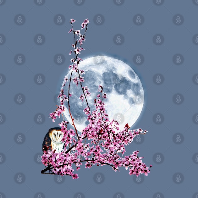 Owl in Plum Tree by kimberlyjtphotoart