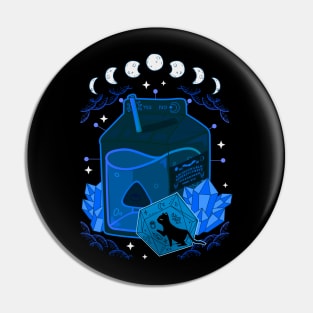 Halloween juice Witch Black Cat witchcraft and wizardry Pin