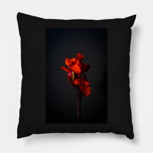 Red Canna Lilies Still Life Pillow