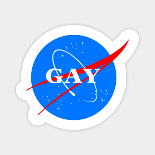 Gay NASA Logo Space Gay Geek Pride Magnet