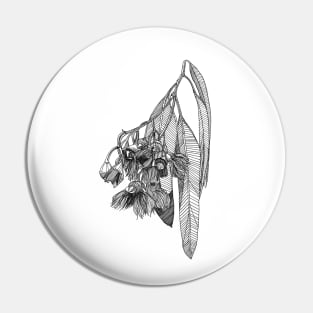 Gum leaf scientific nature black ink pen drawing illustration Pin