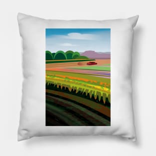 Calexico Pillow