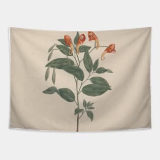 Impatiens Rothii Hook by Luigi Balugani Tapestry