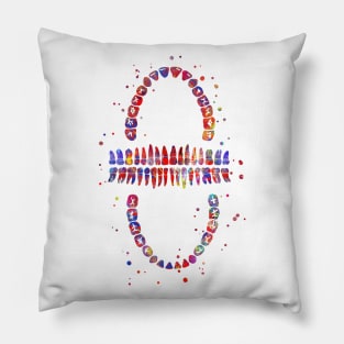 Tooth chart Pillow