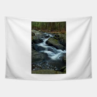 Upper Thundering Brook Falls Tapestry