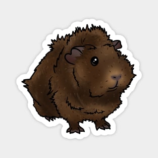 Brown Agouti Abyssinian Guinea Pig Magnet