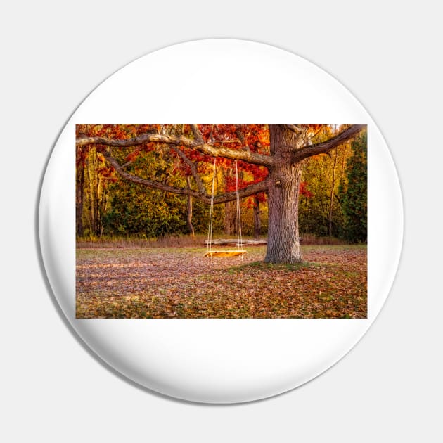 Tree Swing In Autumn Pin by Robert Alsop