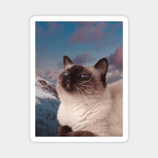 Siamese cat in the mountain sky portrait painting Magnet