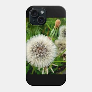 Magnificent dandelion Phone Case