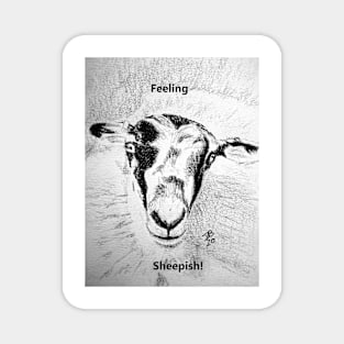 Feeling Sheepish! Magnet