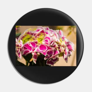 Pink Hydrangea Flowers Pin