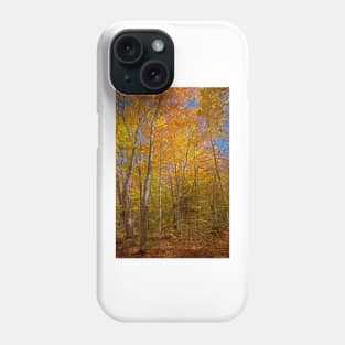 Fall in the Forest Phone Case