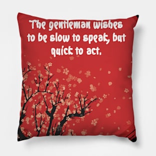 The gentleman Pillow