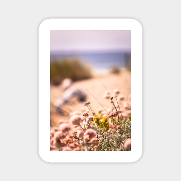 Floral dunes view Magnet by blossomcophoto