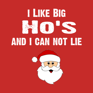 I Like Big Hos And I Can Not Lie T-Shirt