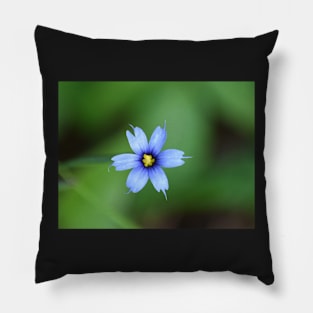 Small wildflower Pillow