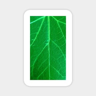 Green Leaf Magnet