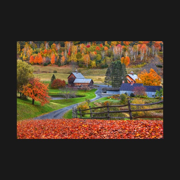 Sleepy Hollows Farm Woodstock Vermont VT Autumn by WayneOxfordPh