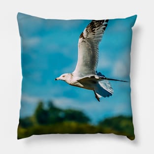 Spread Wings. Seagull Photograph Pillow