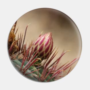 Closeup of Bud on Barrel Cactus Pin
